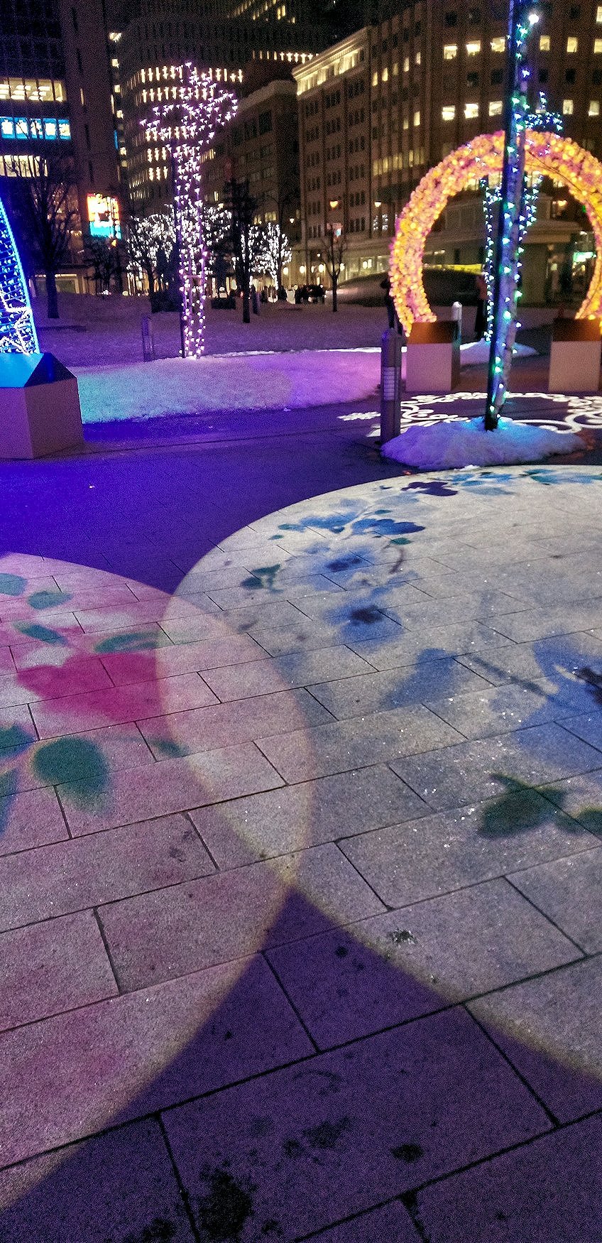 �i�q�D�y�w�O�@�X�X�L�m����w�܂œk���@���ǂQ���P����ȏ�����܂���