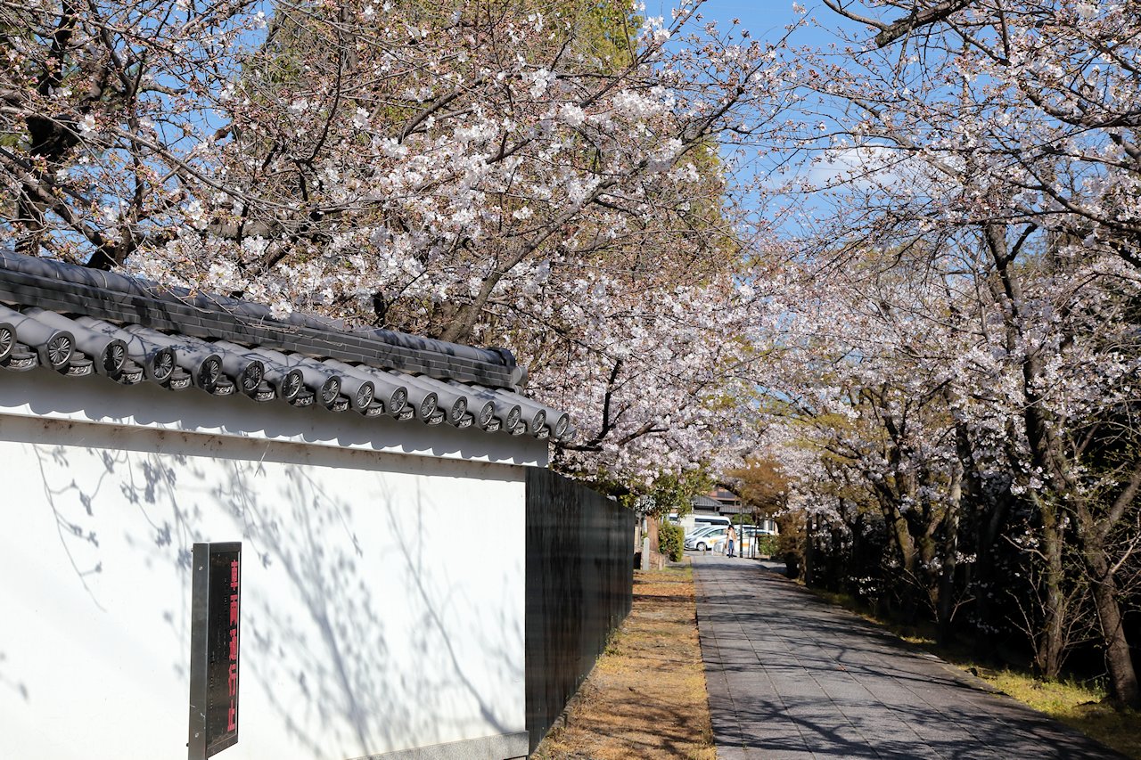 ���y���@�ւ̏����@�\���C���V�m�͓񕪁`�O���炫