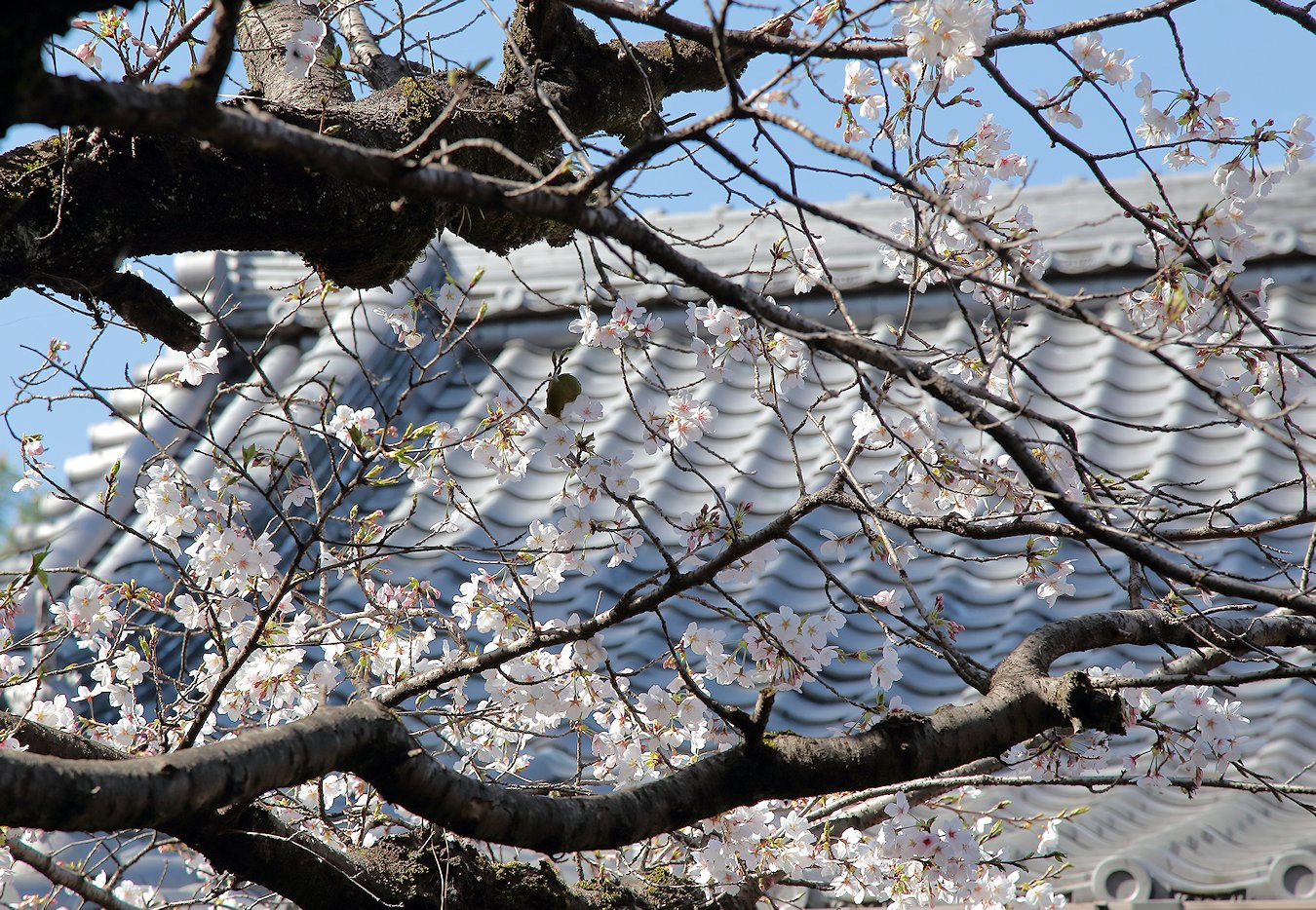 ���y���@