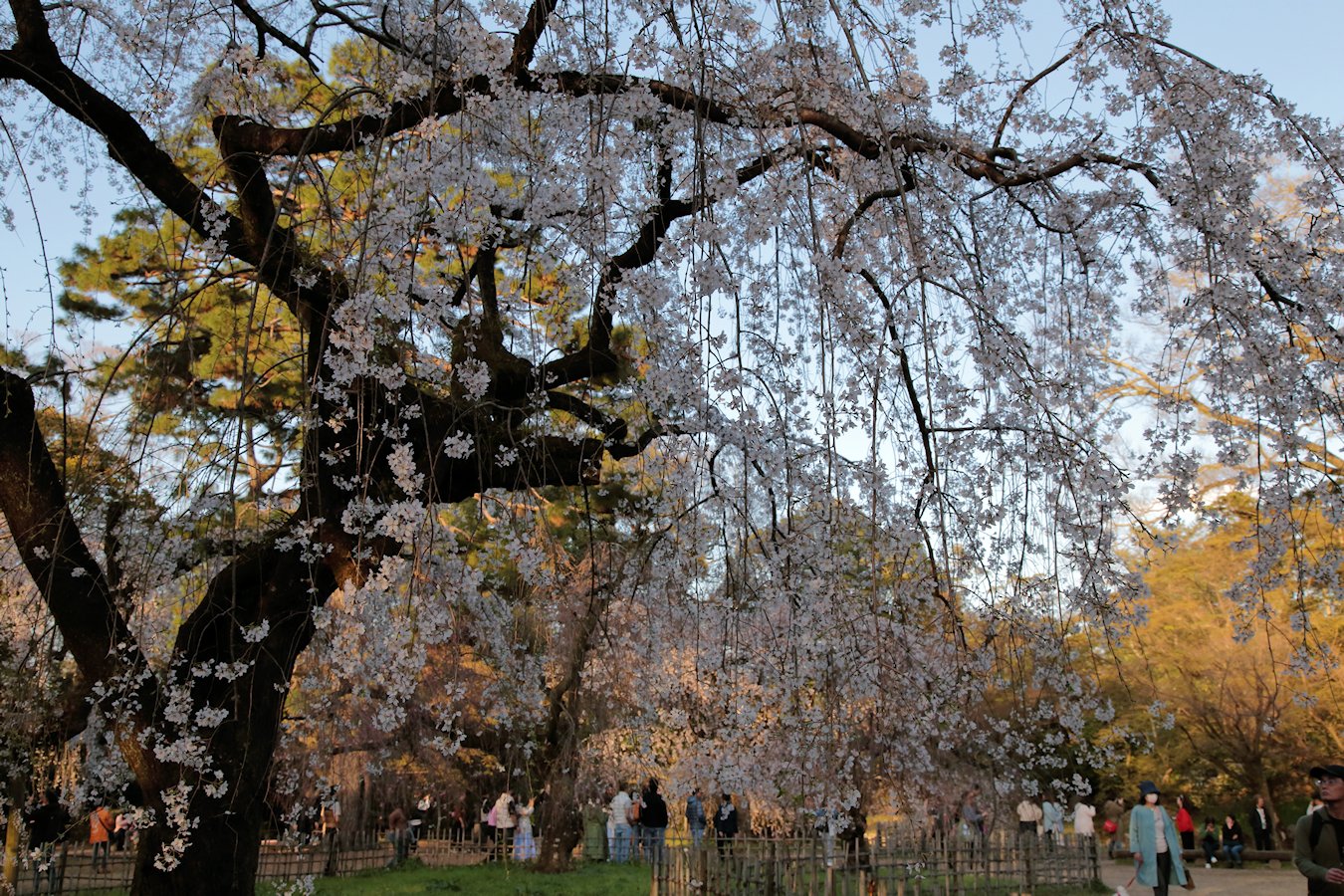 ���s�䉑�@�߉q�@��