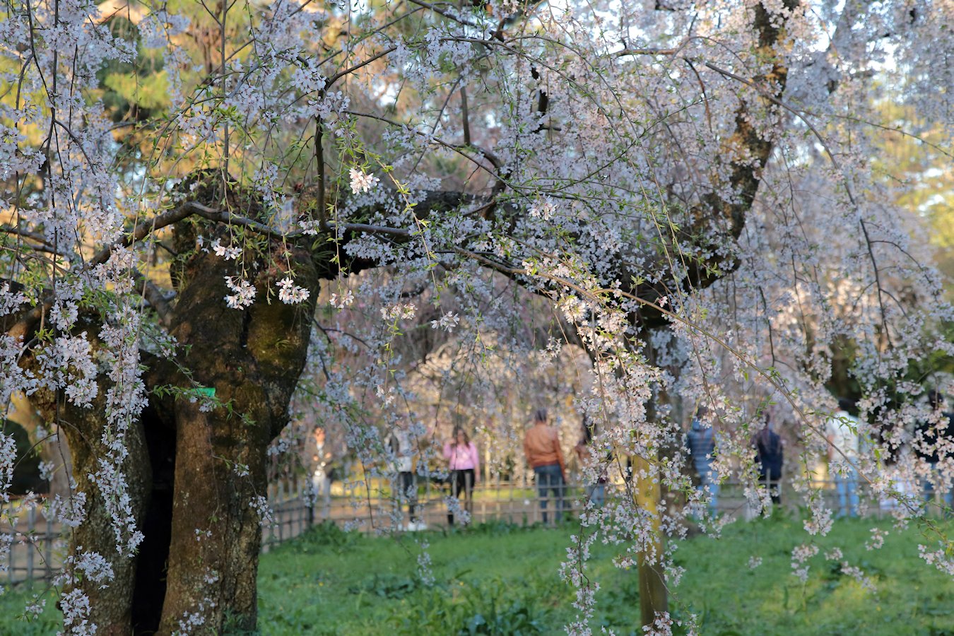 ���s�䉑�@�߉q�@��