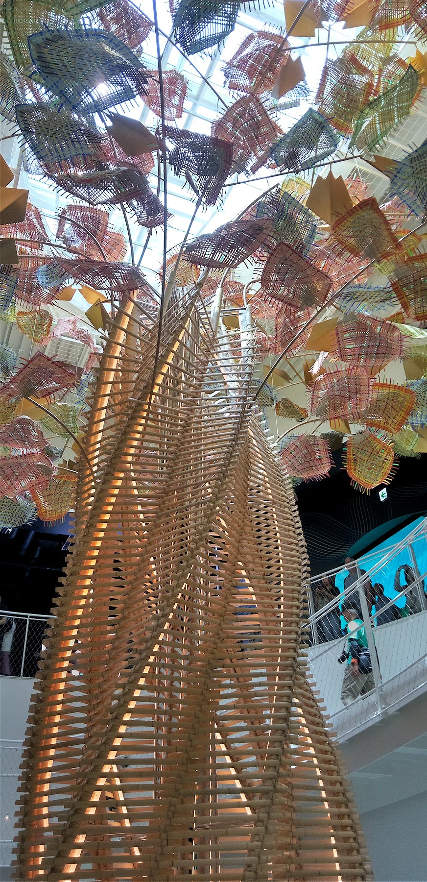 �V���K�|�[����