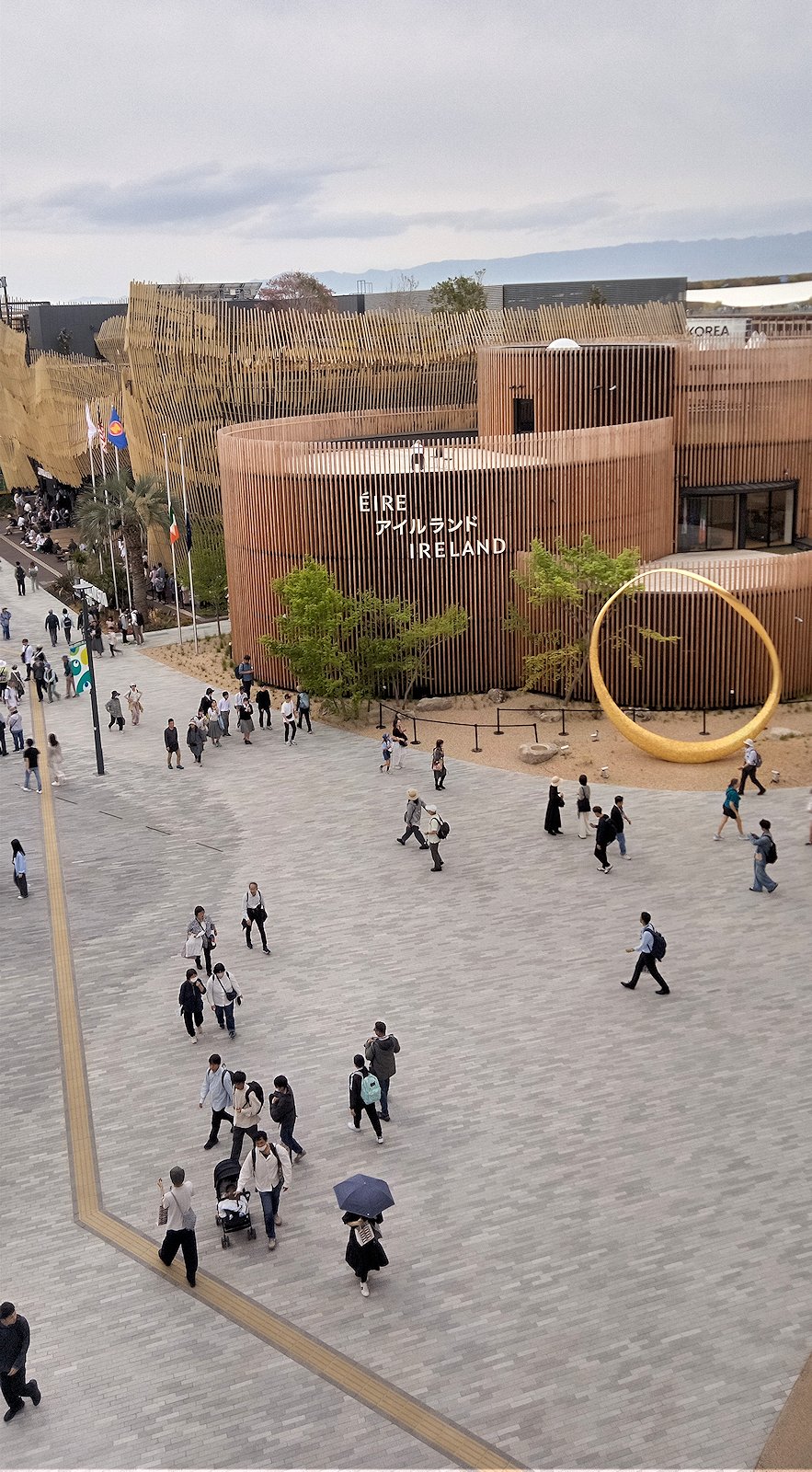 �A�C�������h��