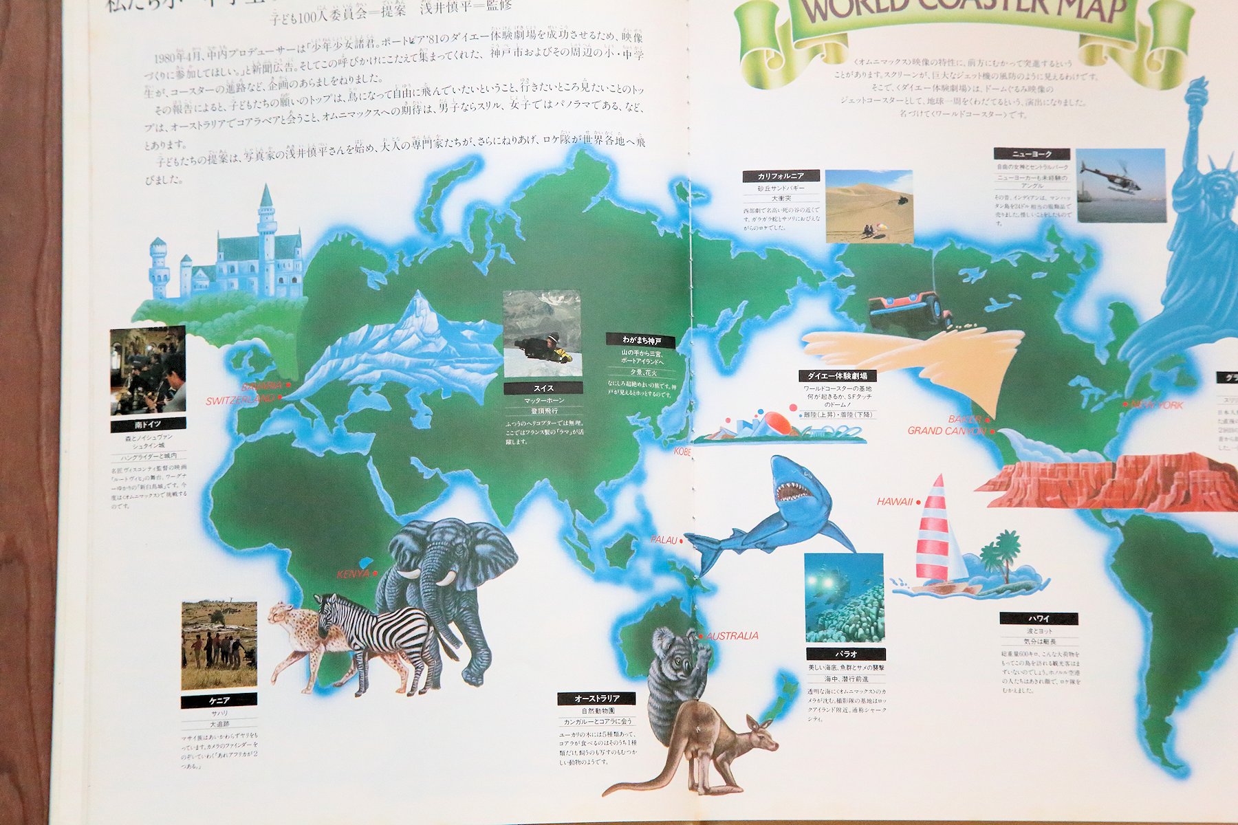 �I���j�}�b�N�X�̗�