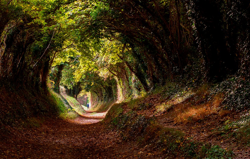  �n���l�[�J�[�@�@�E�F�X�g�E�T�Z�b�N�X