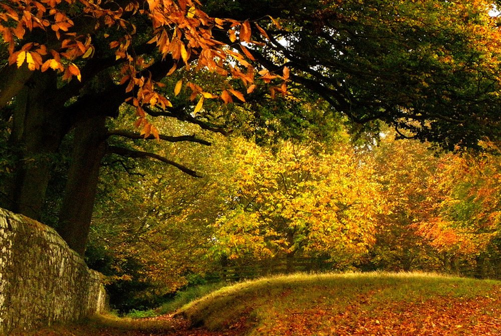 �E�F�X�g�E�T�Z�b�N�X