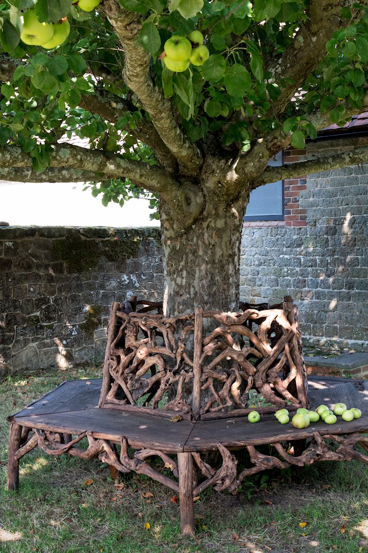 ��񂲁@�E�[���x�f�B���O�E�K�[�f��