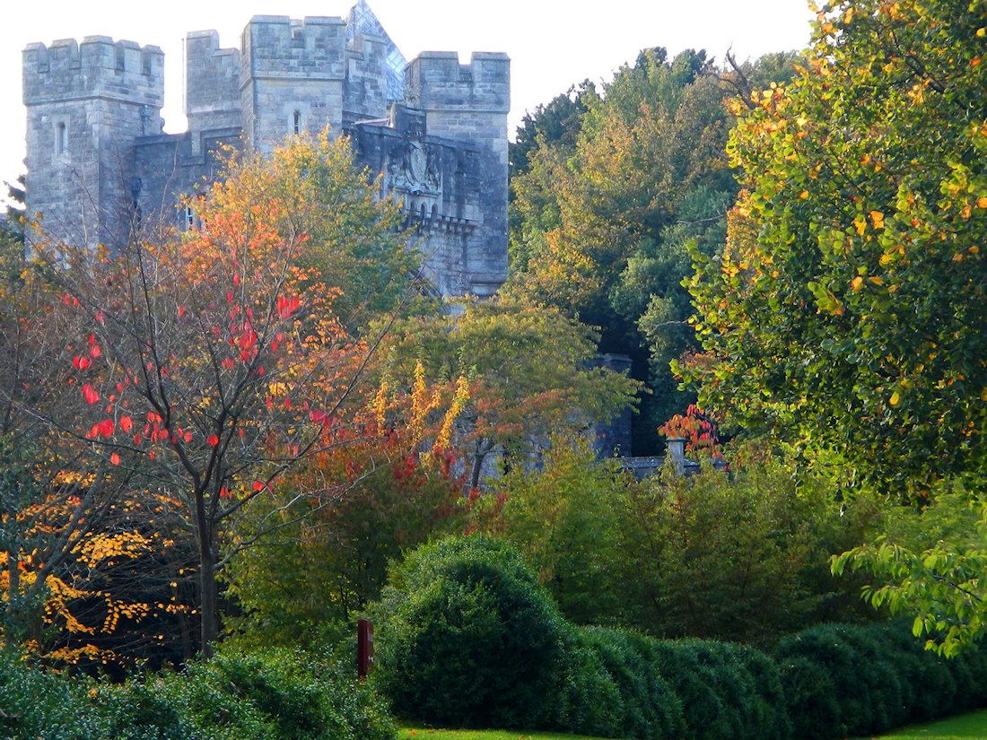 �A�����f����