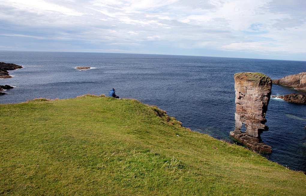 �I�[�N�j�[����