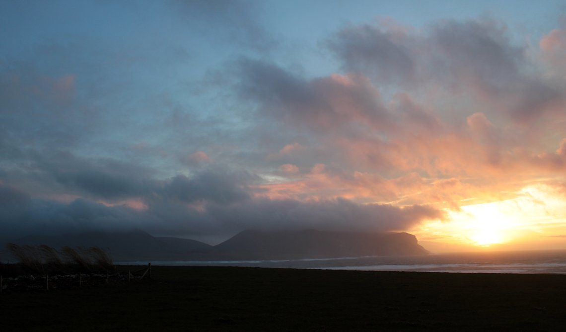 �@�I�[�N�j�[����