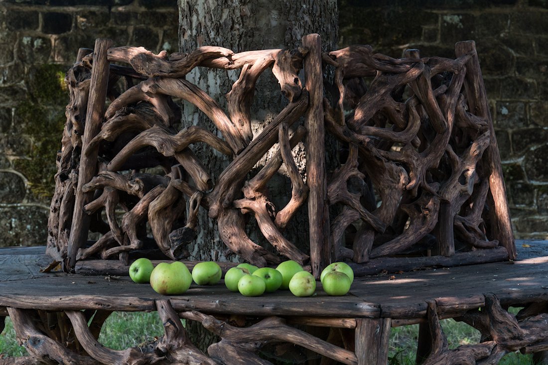 �E�[���x�f�B���O�E�K�[�f��