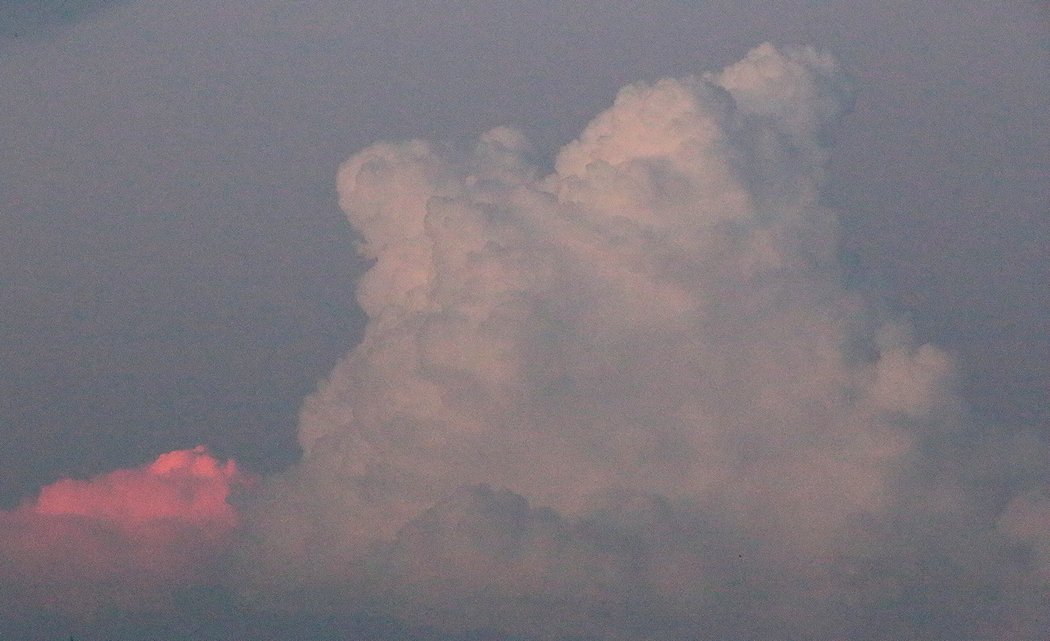 �W���P�X��